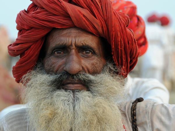 North India tailormade holiday
