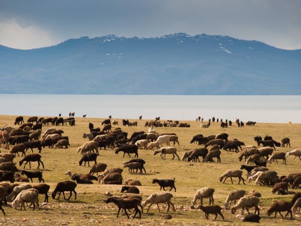 Kyrgyzstan holiday, tailor made adventure