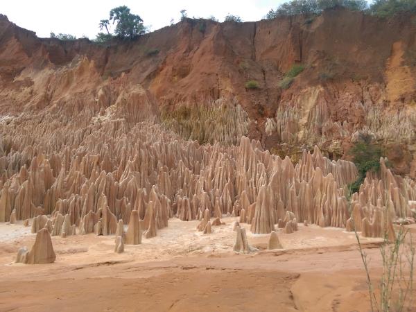 Madagascar wildlife tour with hiking