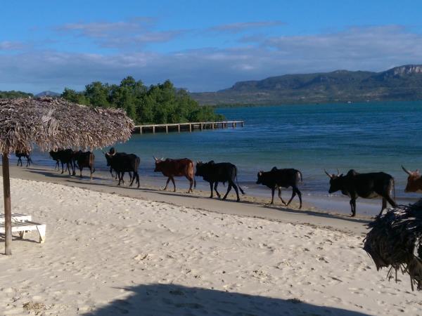 Madagascar wildlife tour with hiking