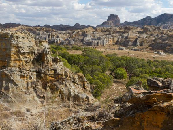 Madagascar wildlife tour with hiking