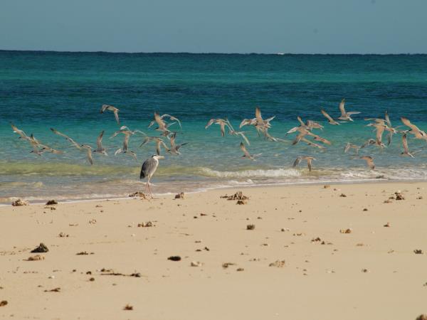 Madagascar private tour with tracking and camping