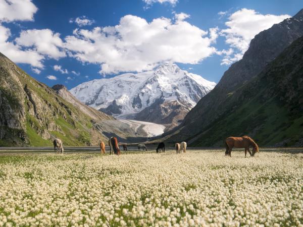 The five stans silk road holiday