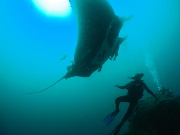 Galapagos Islands diving tour