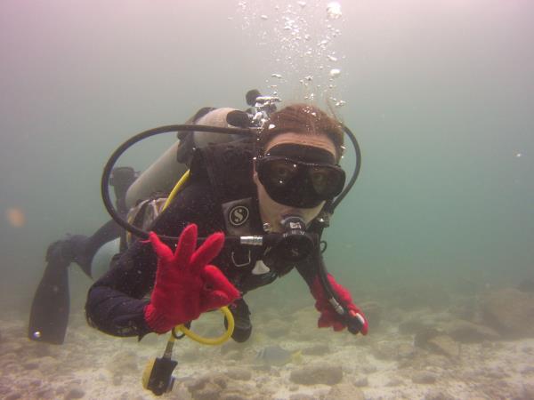 Galapagos Islands diving tour