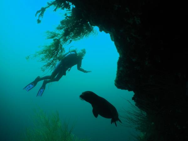 Galapagos Islands diving tour