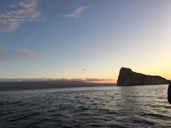 Galapagos Islands diving tour