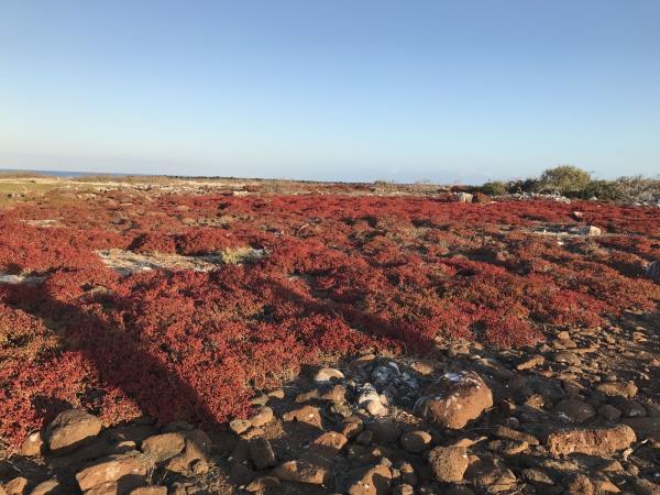 Galapagos Islands land based holiday, 1 week
