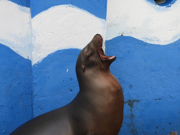 Galapagos Islands land based holiday, 1 week