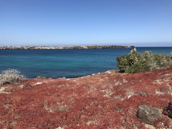 Galapagos Islands land based holiday, 1 week