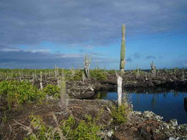 Galapagos Islands land based holiday, 1 week