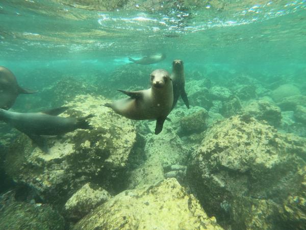 Galapagos Islands land based holiday, 1 week