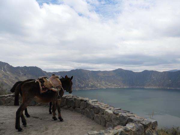 Ecuador and Galapagos group tour