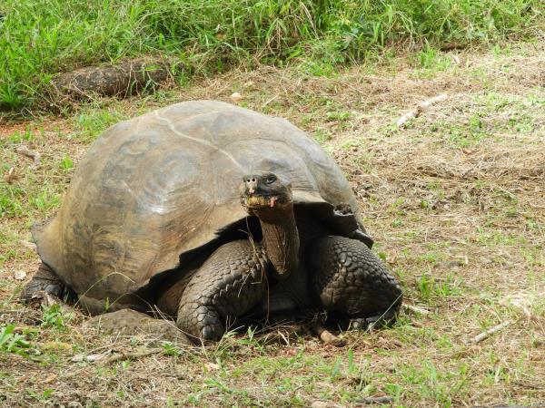 Ecuador and Galapagos group tour