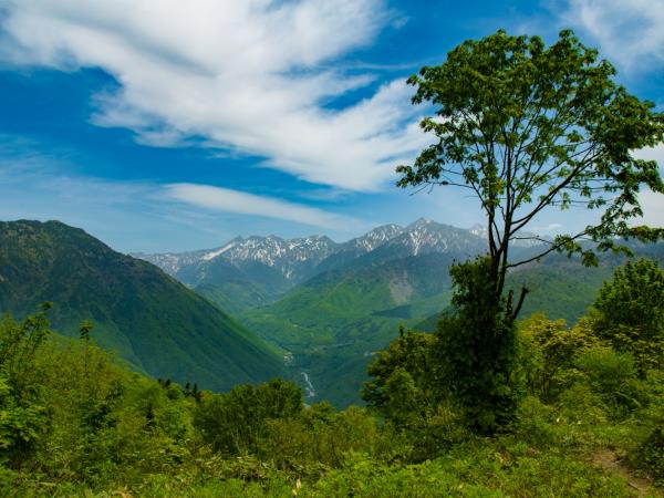 Nakasendo self guided walking tour