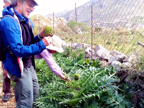 Walking and botanical holiday on Karpathos Island, Greece