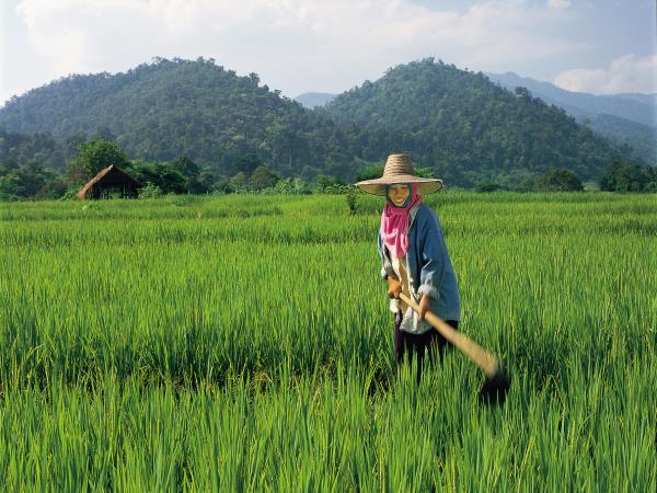 Vietnam family holiday, small group