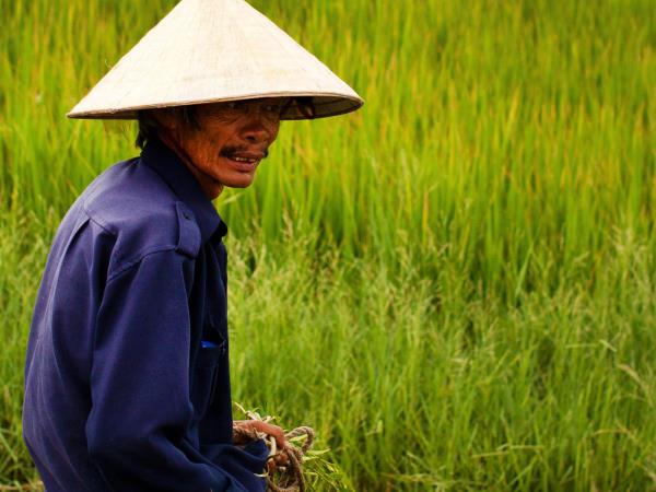 Vietnam family holiday, small group