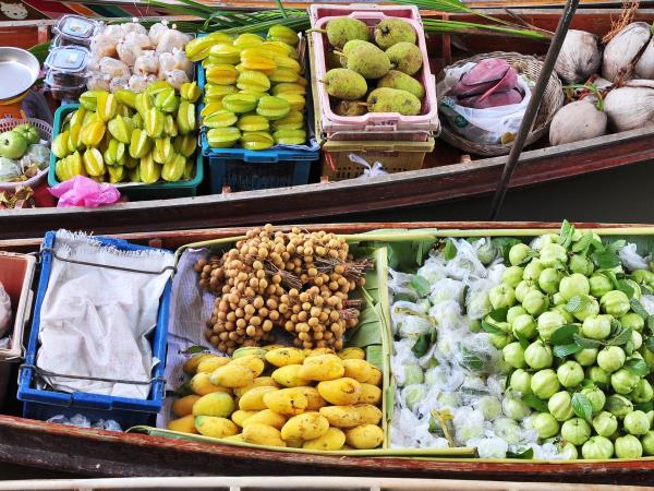 Vietnam family holiday, small group