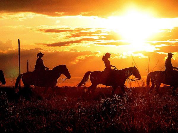 Brazil wildlife holiday, Amazon and Pantanal