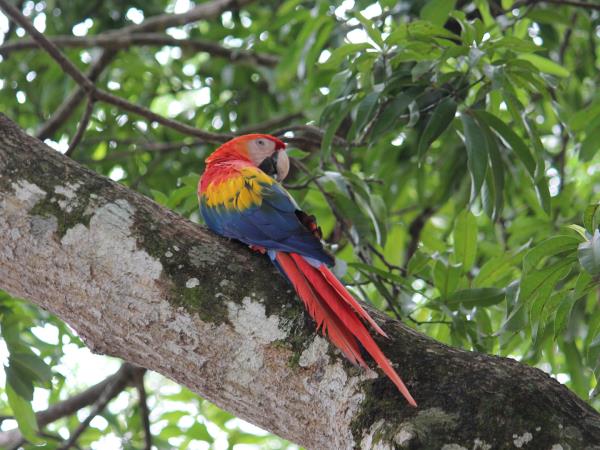 Costa Rica family adventure tour