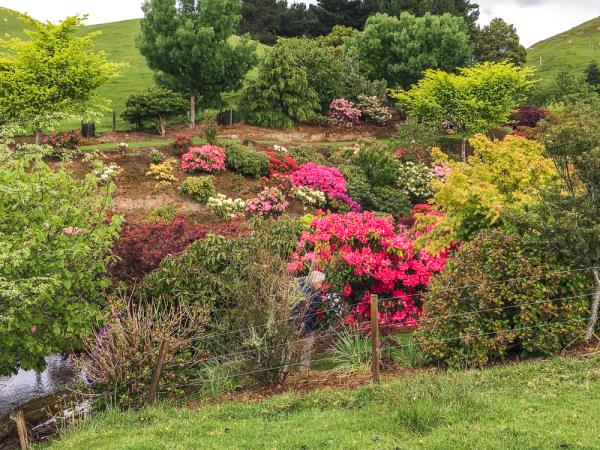 New Zealand North Island gardens tour