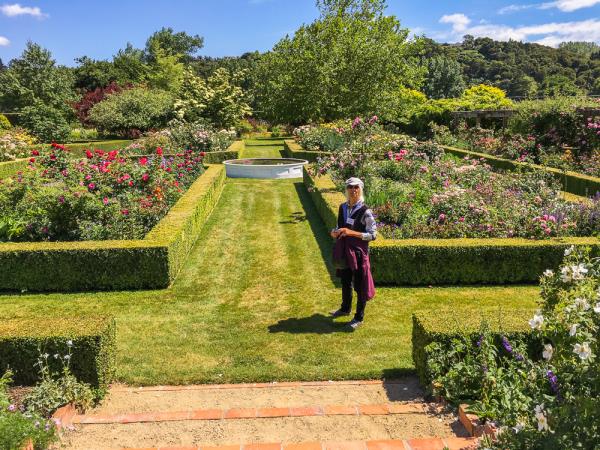New Zealand North Island gardens tour