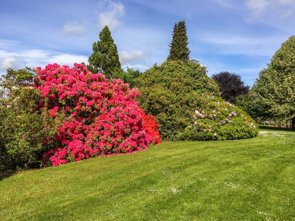 New Zealand North Island gardens tour