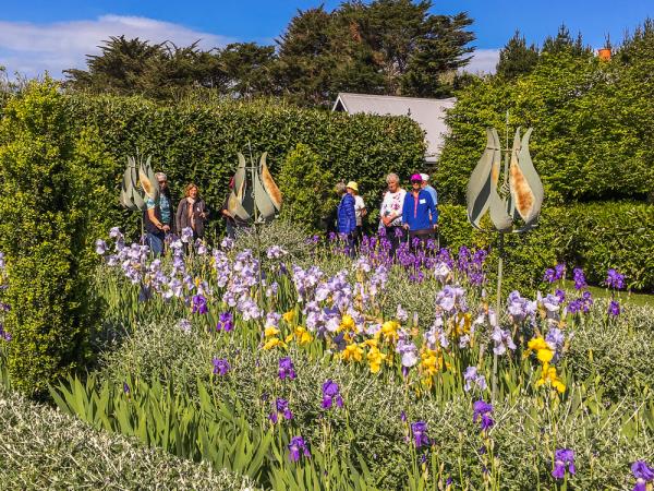 New Zealand rhododendron tour