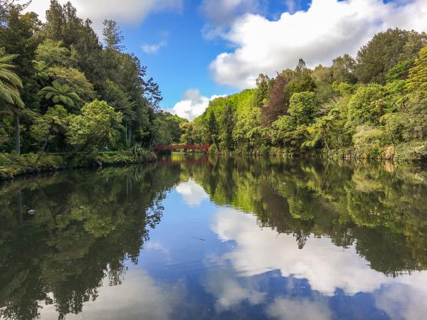 New Zealand rhododendron tour