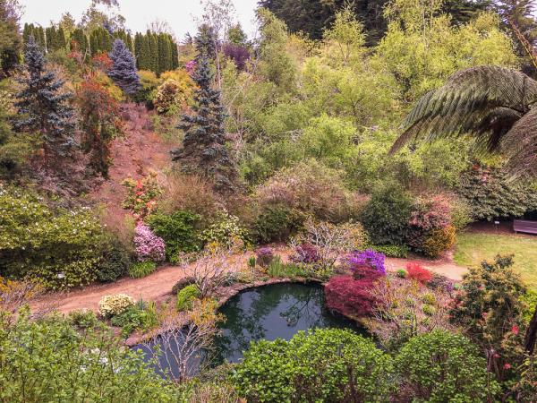 New Zealand rhododendron tour