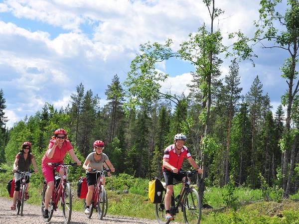 Cycling and food tour in Finland