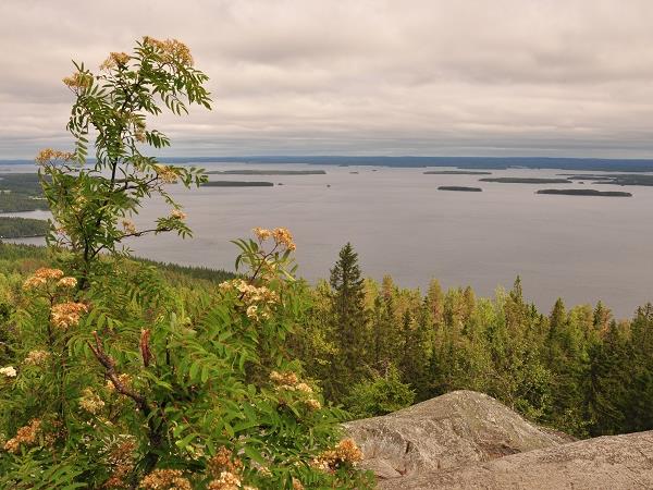 Cycling and food tour in Finland