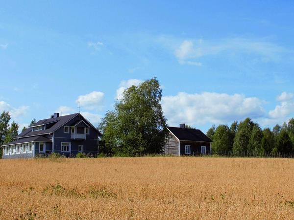 Cycling and food tour in Finland