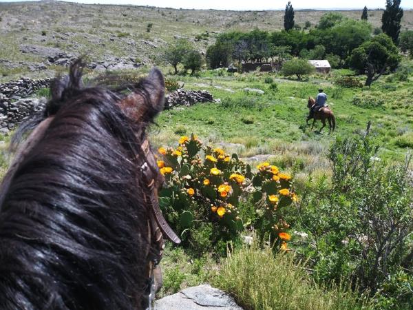 Horse riding holiday in Argentina