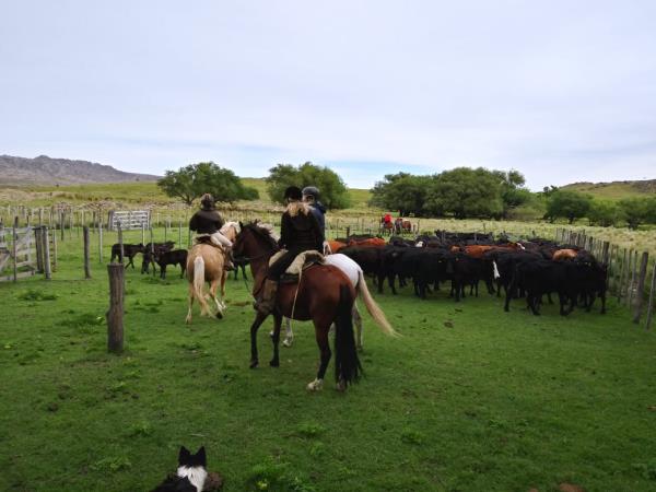 Horse riding holiday in Argentina