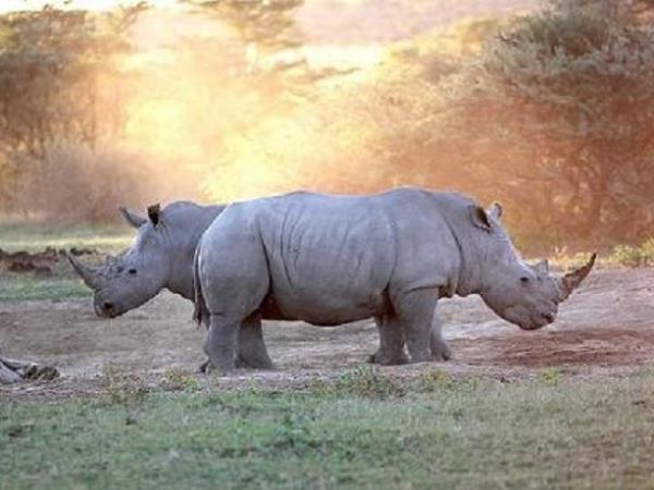 Botswana small group wildlife tour