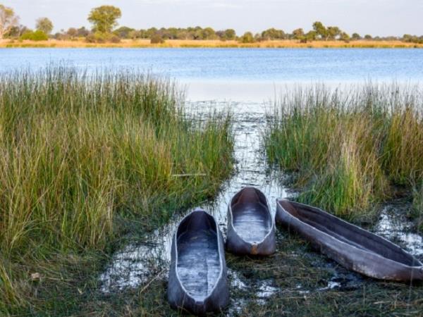 Botswana small group wildlife tour