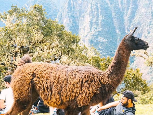Inca Trail extension holiday