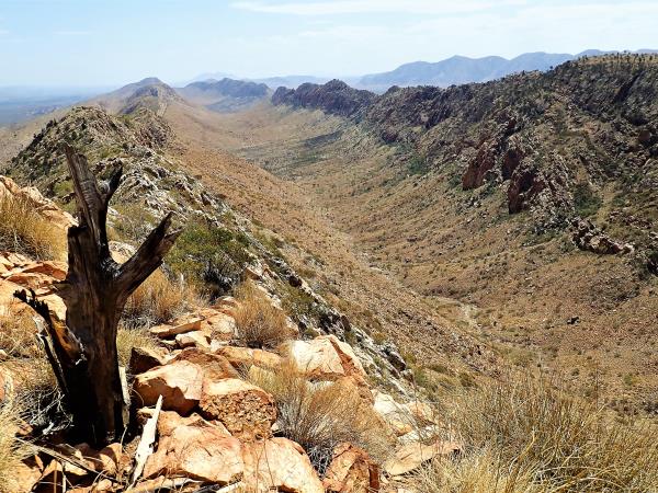 Walking in the Australian outback, Larapinta Trail