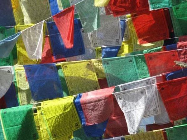 Bhutan walking and wildlife holiday