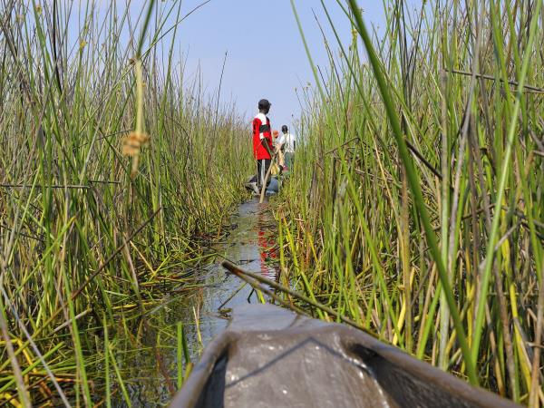 Botswana small group wildlife tour