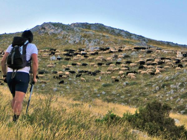 Southern Greece walking holidays