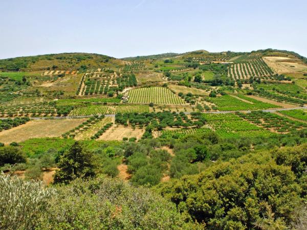 Crete guided walking holiday