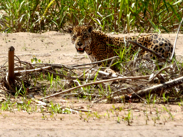 Bolivia holiday, Madidi National Park & ecolodge