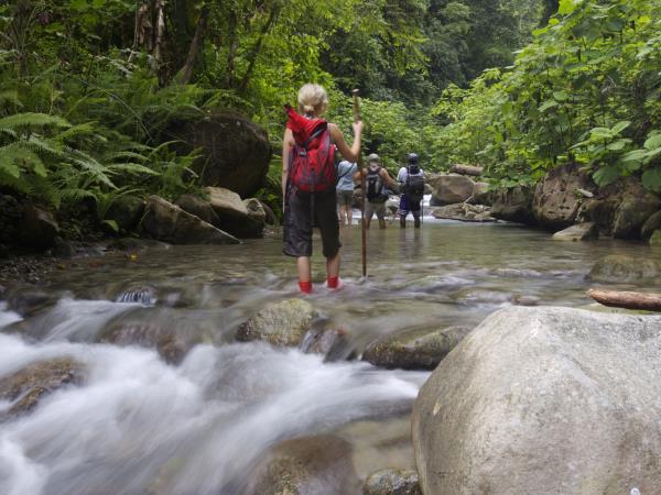 Costa Rica wildlife holiday, Jungles & Beaches