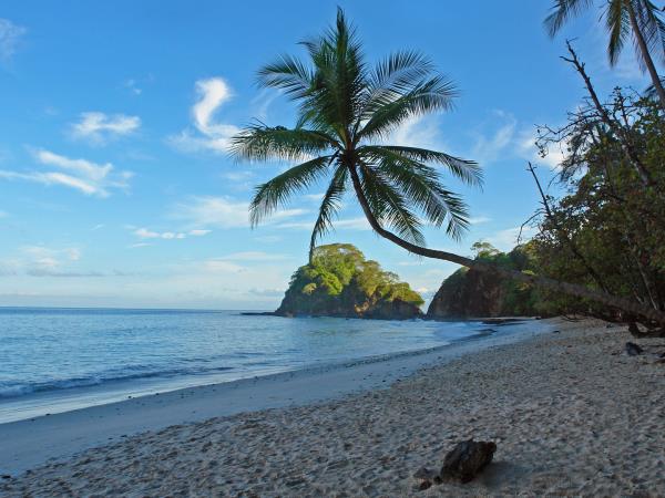 Costa Rica wildlife holiday, Jungles & Beaches