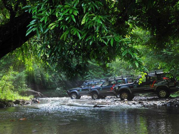 Borneo tailor made holidays, wildlife & beaches