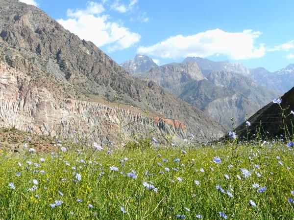 Tajikistan tailormade holiday