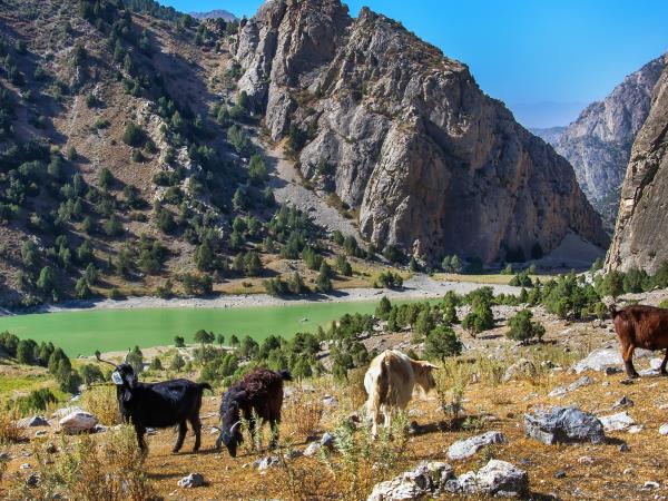 Tajikistan tailormade holiday
